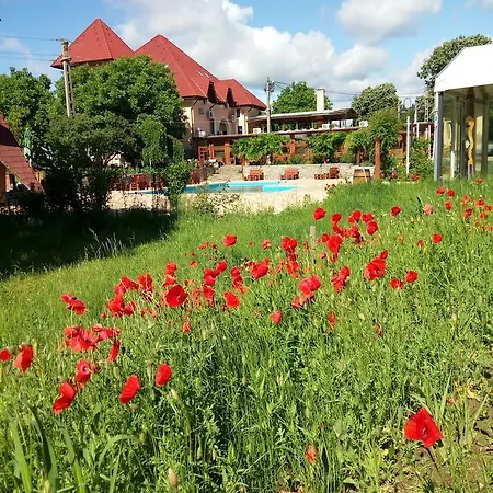 Casa Danielescu Gasthuis Târgu Jiu